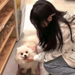 捉妖手机送万抽版下载